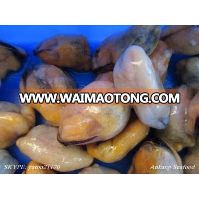 seafood frozen mussel products