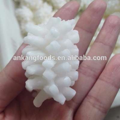 frozen giant squid flower for sale AK10805